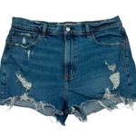 Abercrombie & Fitch  The Mom Short High Rise size 31/12 Photo 0