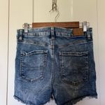 American Eagle Curvy Shorts Photo 1