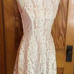 Speechless NWT Fit & Flare Lace Dress Photo 8