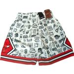 Mitchell & Ness  NBA doodle shorts Chicago bulls size large Photo 5