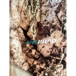 Cabela's Outfit Her Camo zip up • Woman’s Small Teal Accents Photo 2