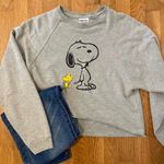 Peanuts Sweatshirt Gray Photo 0