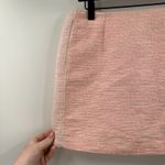 Wilfred Aritzia Pale Pink Preppy Exposed Zipper Tweed Mini Skirt Size 6 Photo 1