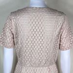 Renee C  Dot Lace Overlay Fit & Flair Dress Photo 5