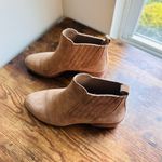 Gianni Bini  Stand-Bye Suede Ankle Boots - Size 5.5 Sahara Sand - Like New Photo 10