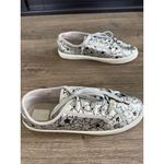 Bebe Sport Women's Daney Silver Star Lace-Up Fashion Sneakers size 10 Photo 1
