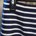 J.Crew NWOT  skirt Photo 3