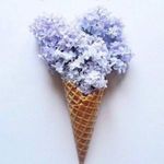 Ali & Jay Dress XS Lace and Paper Flowers Wrap Midi Ruffle Sleeve Navy Blue Photo 7