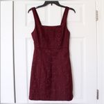 Urban Outfitters  Hallie Wine Colored Embroidered Square Neck A-line Mini Dress Photo 9