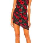 Lovers + Friends NEW  Jennings Dress Rose Garden Photo 0