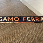 Salvatore Ferragamo Ferragamo Pappagalli Scarf NWT Photo 6