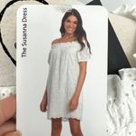 Pietro Brunelli NEW NWT White Eyelet Susanna Maternity Dress Photo 1