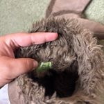 Timberland Mukluk Tall Winter Boots Womens Size 7M Brown Leather Faux Fur Photo 4