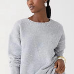 J.Crew NWT New  Silver Long Sleeve Crewneck Sweater Metallic tinsel brushed yarn Photo 0