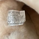 UGG Classic Chestnut Mini Boot Photo 3