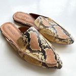 Madewell The Frances Skimmer Mule in Snake Embossed Leather Womens Size 10 Shoes Photo 1