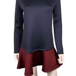 BCBGMAXAZRIA BCBGMAXAZARIA Scuba Dress Photo 1