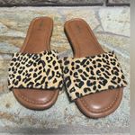 Torrid leopard print calf hair slide sandals 8 tan black Photo 1