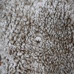 The Southern Shirt Company Southern Shirt Womens M Plush Sherpa Pile 1/4 Zip Pullover Photo 6