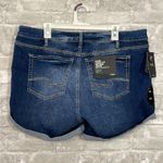 Silver Jeans  Elyse Curvy Fit Denim Shorts Photo 2