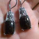 Matrix Silver Shungite Platinum Over Copper Lever Back Earrings Photo 5