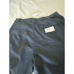 AG Adriano Goldschmied NWT AG jeans Anthropologie Highrise Ultra wide leg Tailored Deven pant Size 32 Photo 7