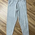 Young Fabulous and Broke Size M Jogger Sweatpants Fuzzy Soft Pocket Grey Stretch Photo 3
