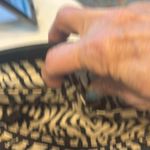 Vera Bradley Quilted Cloth Removable Shoulder Strap purse Photo 11