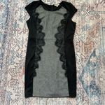 Mystree Elegant Black and Gray Lace Panel Knit Dress Cap Sleeve Large Photo 4