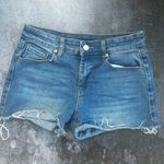 BLANK NYC  Denim Shorts Size 27 Photo 0