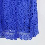 Ella Moss Hi-Low Lace Skirt Photo 7