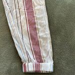 American Eagle AE Coastal Pants Photo 3