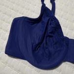 Wacoal  Blue 36C Perfect Primer Full Figure Underwire Bra 855213 Photo 9