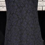 J. Crew Navy & Black Lace V Neck Sheath Dress Size 4 Career Event Dress Up Photo 1