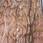 Anthropologie By  Womens Vickie Shimmering Pleated Halter Top Peach Gold Small‎ Photo 3