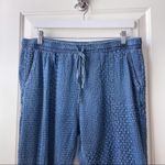 Johnny Was Embroidered Chambray Jogger Cargo Pants Size Large Photo 1