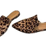 Banana Republic Factory Cheetah Slide Mules Photo 5