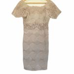 Free People New Romantics Bell Shift Dress Lace Small Beige Feminine Romantic Photo 2
