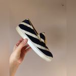 Christian Louboutin Women’s Boat Spa Eponge Skate Sneakers Nautical Size 36.5 Photo 12