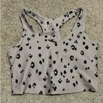 Sage  Collective Sports Bra Medium Photo 1