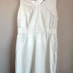 Antonio Melani  Ivory and White Floral Lace Structured Sheath Dress 10 Photo 0