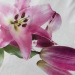 ZARA  Lily Floral Sleeveless Shirt; NWOT; size girls’ 13-14; fits Woman’s Small Photo 6