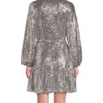 Alex Marie  Shimmering Silver sequin dress 10 Photo 4