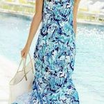 Lilly Pulitzer Essie Maxi Dress Photo 0