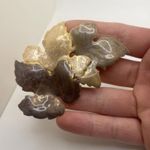 Pretty Metal Enamel Brooch Pin Leaves Autumn Fall Leaf Photo 4