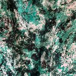 The Limited  size small woman’s green, white, and black short sleeve blouse Photo 2