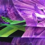 Gucci NWT  floral short dress Photo 12