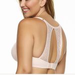 Paramour Carolina Seamless Contour Plunge T Photo 1