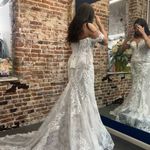 Elegant Lace Off Photo 6