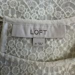 Loft  White Lace Blouse Medium Scallop Hem Short‎ Sleeve Crochet Top Ivory Photo 1